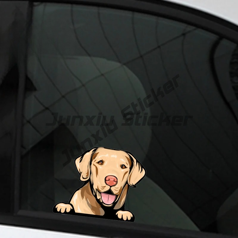 Labrador Retriever Peeker Car  - Yellow Laptop Accessories avis et prix